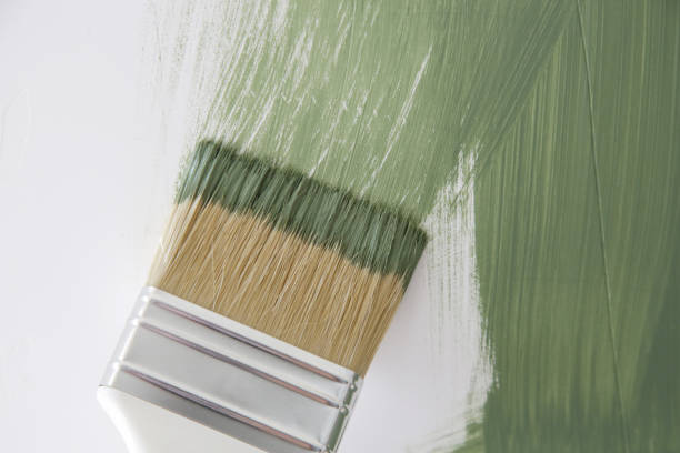 Best Mold Prevention Services  in Stewart Manor, NY
