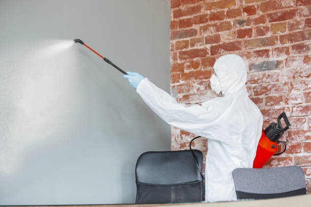 Best Air Quality Testing for Mold Spores  in Stewart Manor, NY
