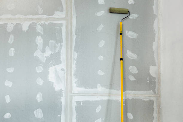 Best Mold Odor Removal Services  in Stewart Manor, NY