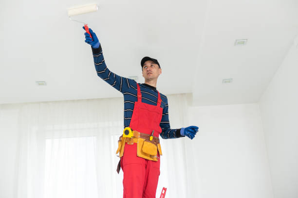 Best Emergency Mold Remediation  in Stewart Manor, NY